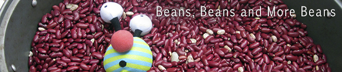 Beans And More Beans